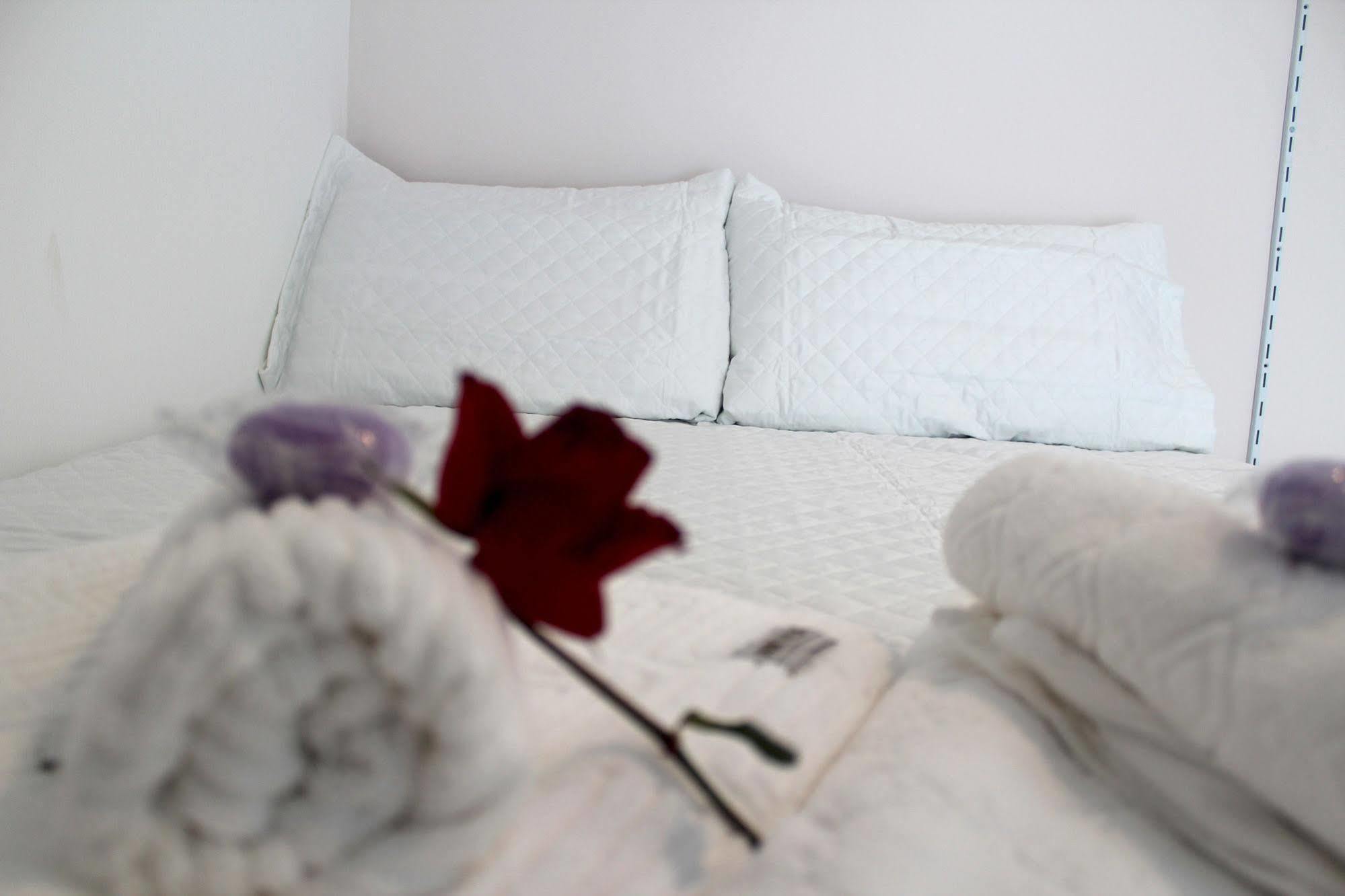 Pouso Verde Bed And Breakfast Rio de Janeiro Eksteriør bilde